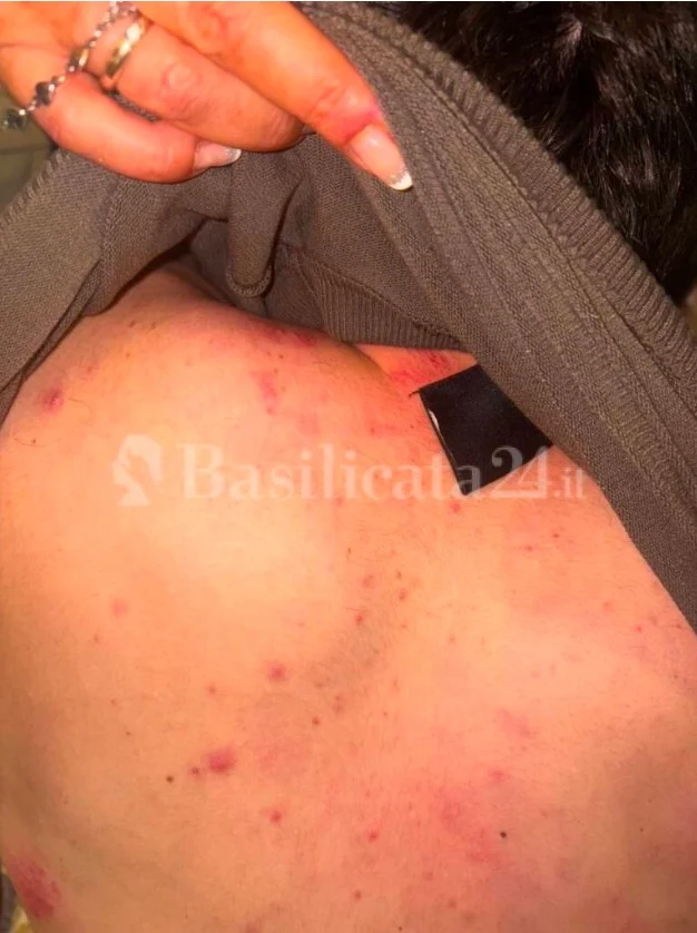 Erdhën për pushime, 6 italianë dhunohen nga një grup shqiptarësh në Tiranë: Na kërcënuan me thikë për të na marrë para, policia nuk ndërhyri
